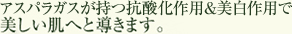アスパラガスが持つ抗酸化作用&美白作用で美しい肌へと導きます