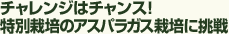 チャレンジはチャンス!無農薬のアスパラガス栽培に挑戦