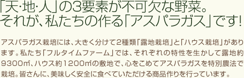 「天・地・人」の3要素が重要な野菜。それが、私たちの作る「アスパラガス」です!アスパラガス栽培には、大きく分けて2種類「露地栽培」と「ハウス栽培」があります。私たち「フルタイムファーム」では、それぞれの特性を生かして露地約9300㎡、ハウス約1200㎡の敷地で、心をこめてアスパラガスを無農薬で栽培。皆さんに、美味しく安全に食べていただける商品作りを行っています。
