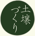 土壌づくり