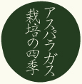 無農薬アスパラガス 栽培の四季