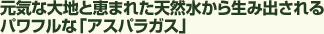元気な大地と恵まれた天然水から生み出されるパワフルな「アスパラガス」