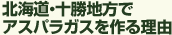 北海道・十勝地方でアスパラガスを作る理由
